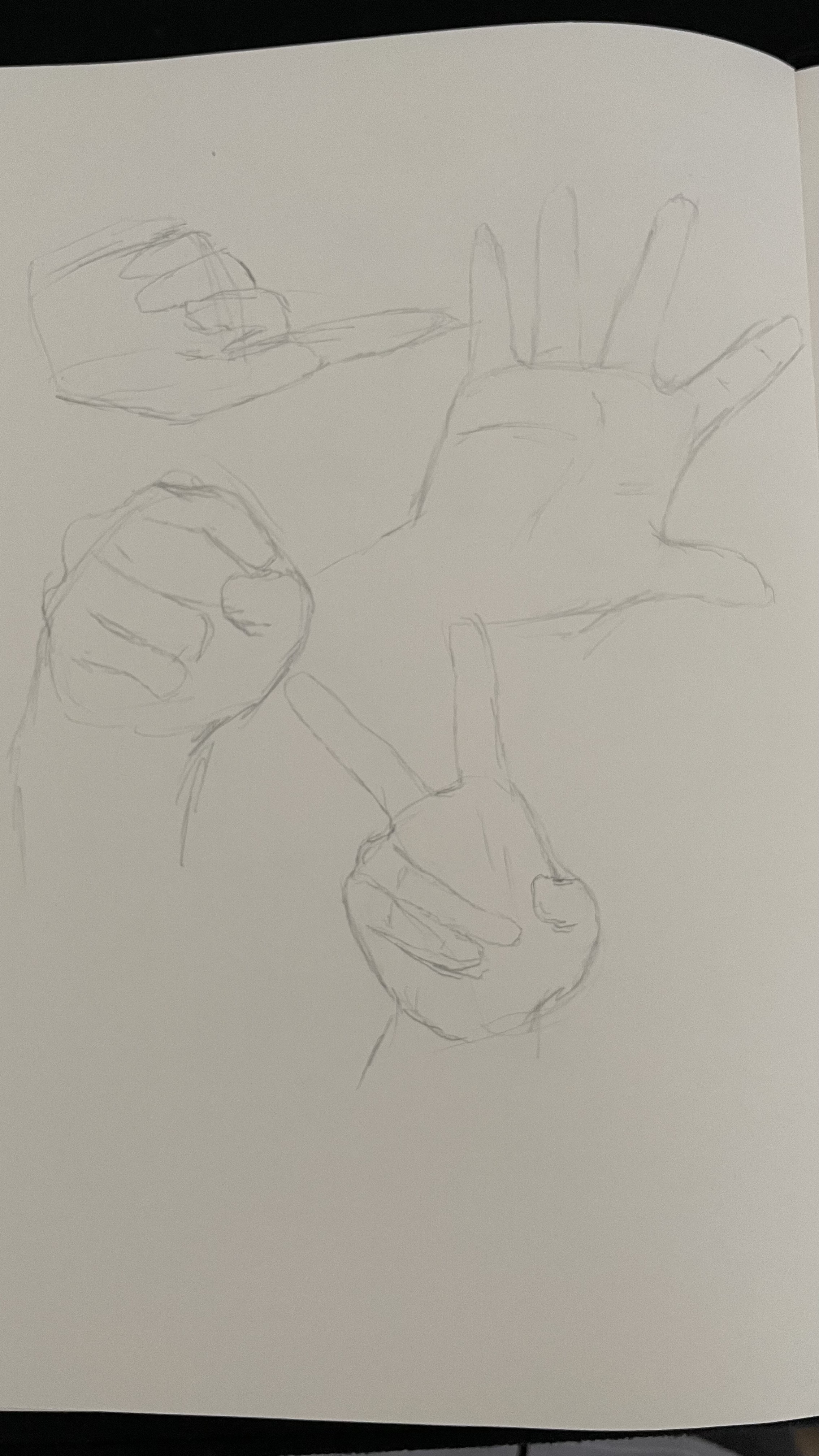 hand study