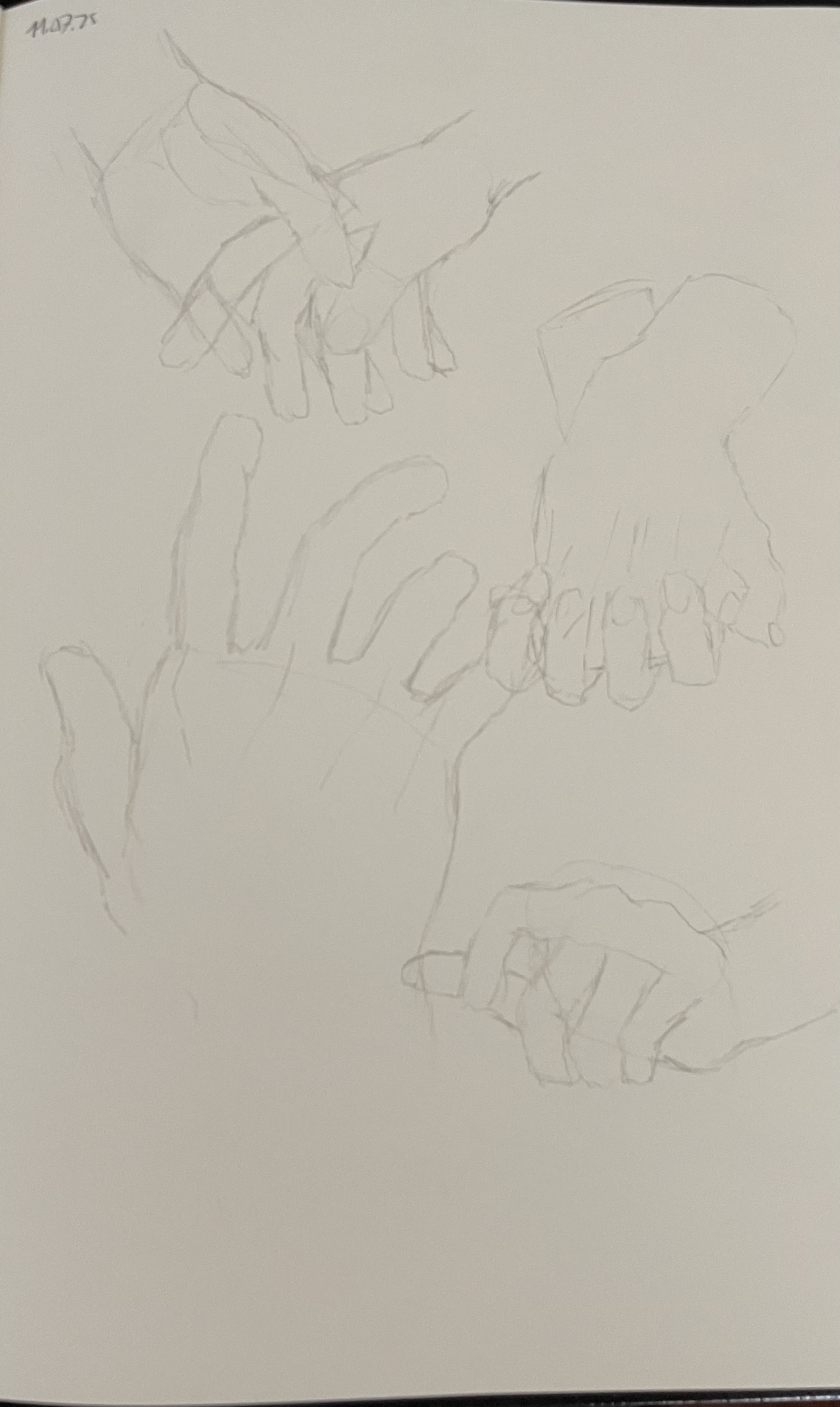 hand study